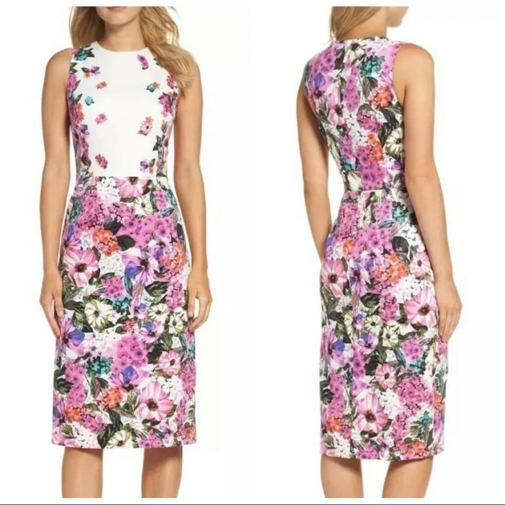 Maggy London Sz 8P 8 Petite Floral Print Garden Sheath Dress Sleeveless
